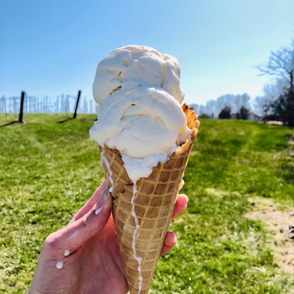 hand holding ice cream cone with dripping final ice cream on a farm