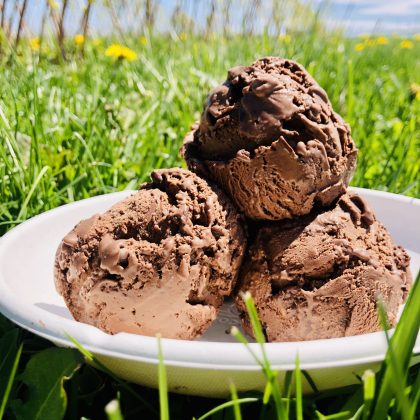 Bowl of chocolate anarchy ice cream sits in the grass with yellow flowers and blue sky behind it