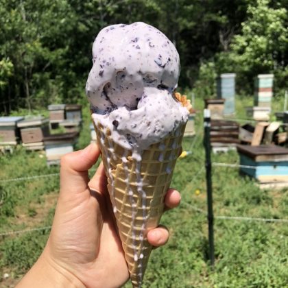 Blueberry ice cream cone in front of green grass and multicolored sets of drawers that are used as beehives